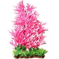thumbnail image 1 of Sea Fern Aquarium Plant, 1 of 1