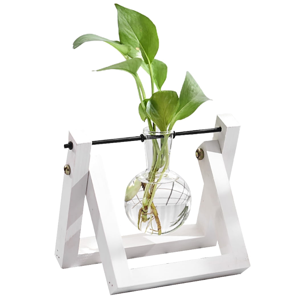 Bulb Glass Planter Vase Terrarium Flower Plant Container With Wooden Stand 3E9A