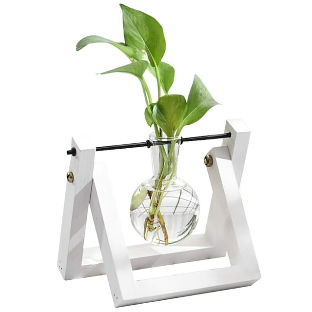Plant Terrarium Retro Small: Clear Air Planter Bulb Glass Vase with Wooden Stand