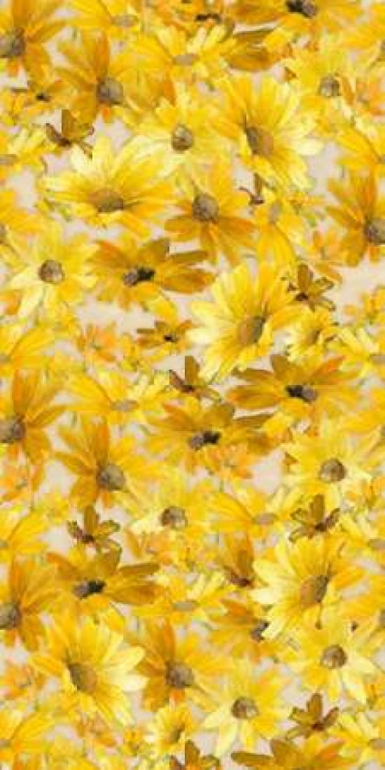 Daisy Pattern Canvas Art - Lanie Loreth ()