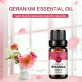 thumbnail image 3 of Geranium Essential Oil 10ml (0.33oz) - 100% Pure Premium Grade for Aroma Diffuser, Massage, Skin Care, 3 of 6