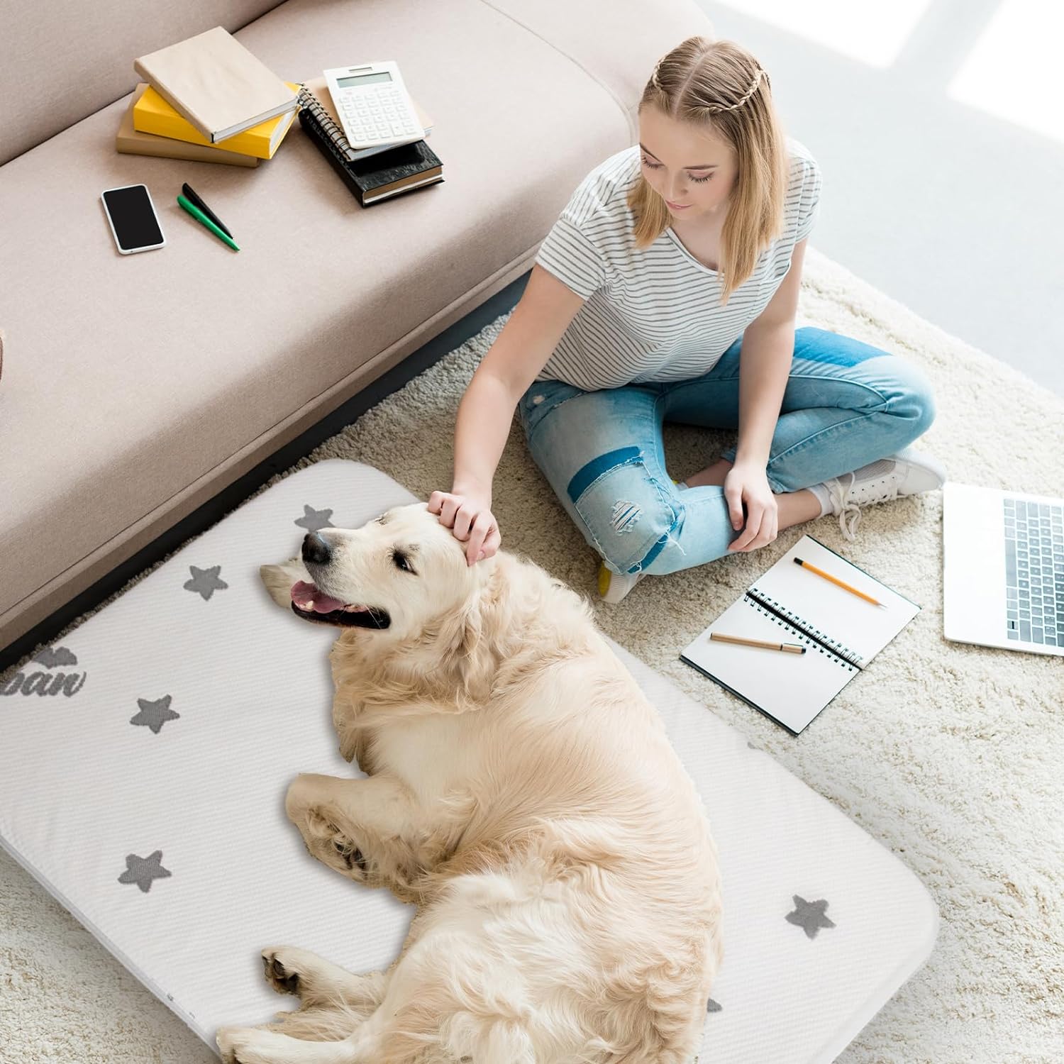 General Waterproof Dog Beds for (Large) Dogs, Washable Mat Pad, Memory Foam Dog Beds & Furniture for Small/Medium Large/XL/XXL Pet with Removable Cover (Light Grey)