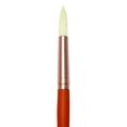 thumbnail image 1 of CEPILLO REAL ROYAL BRUSH  RYR7500R8, 1 of 1