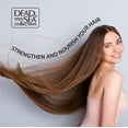 thumbnail image 6 of Dead Sea Collection Shampoo & Conditioner Set for Unisex Macadamia Oil All Hair Pack of 2, 67.6 fl oz, 6 of 10