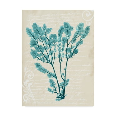 Trademark Fine Art 'Teal Seaweed V' Canvas Art by Grace Popp