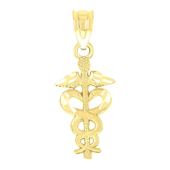 10k Yellow Gold Diamond-cut Unisex Registered Nurse Badge Charm Pendant for Men Women
