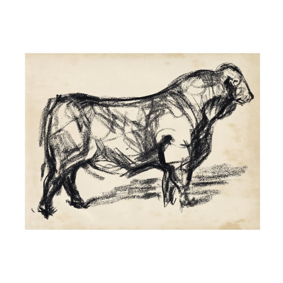 Jennifer Paxton Parker 'Black Angus I' Canvas Art