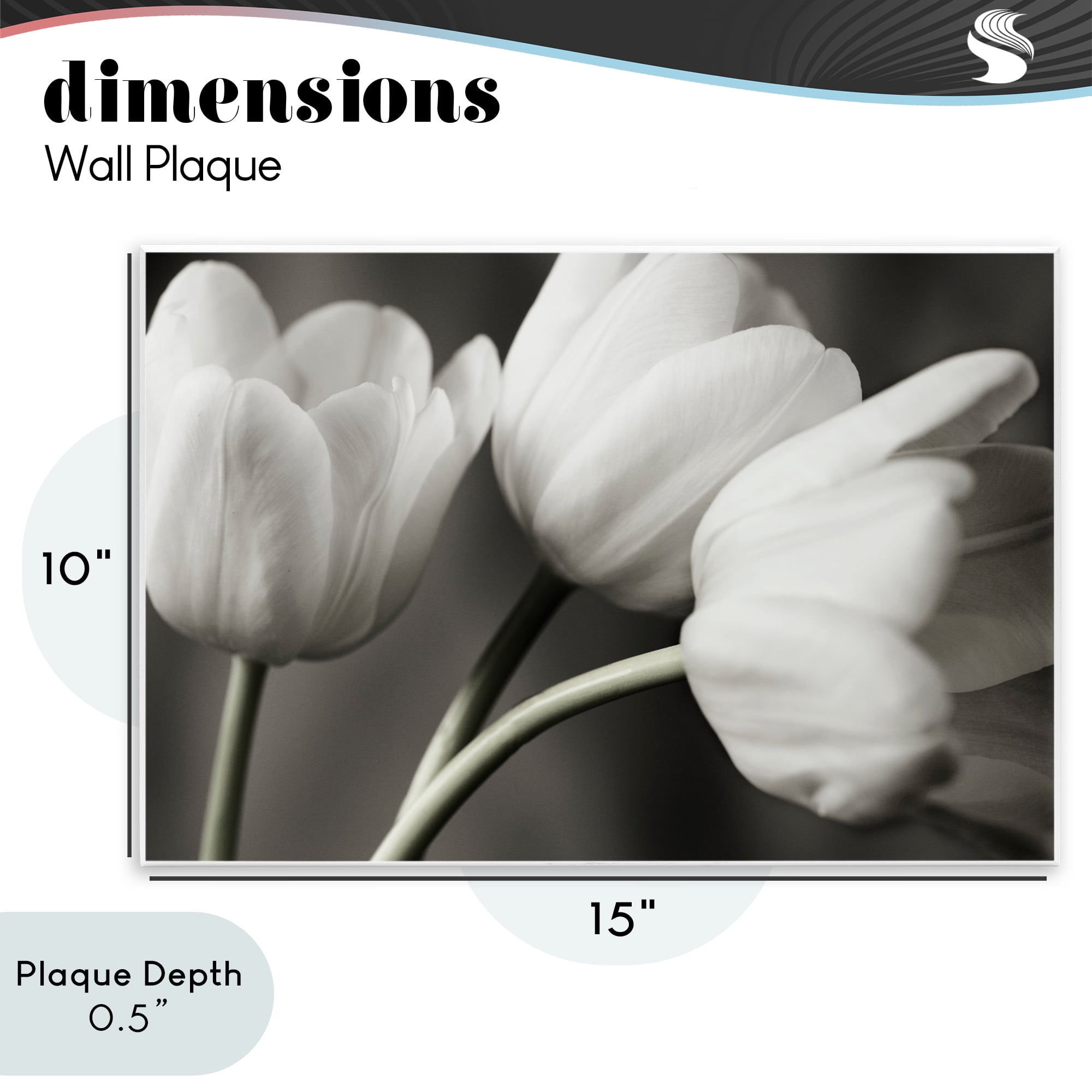 Stupell Industries Row Of Monochrome Tulips Wall Plaque Art, design by Tom Quartermaine