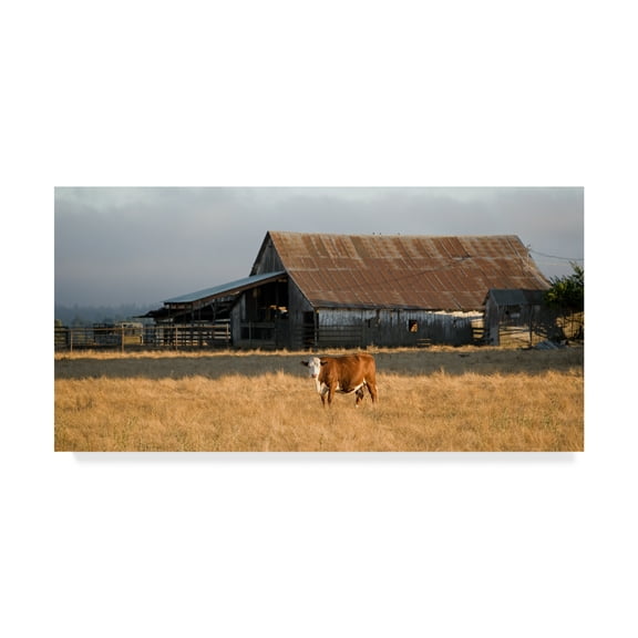 Trademark Fine Art 'Cow Portrait' Canvas Art by Lance Kuehne