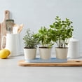 thumbnail image 2 of FRAÎCHE Spring Metal Herb Planter Set, 3 count, 2 of 4