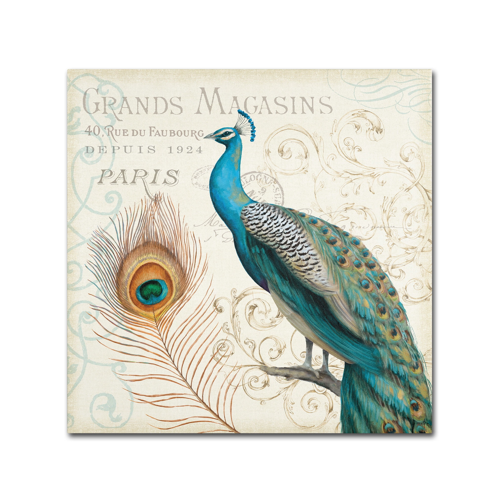 Trademark Fine Art "Majestic Beauty II Square" Canvas Art by Daphne Brissonnet