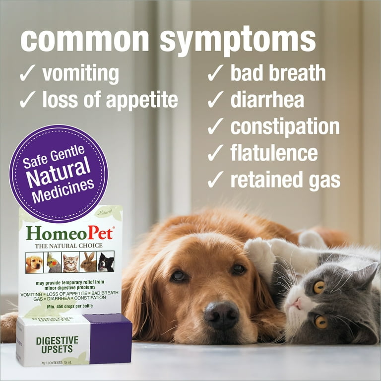 Natural remedies for cat digestion hot sale