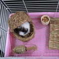 thumbnail image 4 of 2 Uds Juguetes para Pájaros Hierba Natural Zanahoria Rábano Jaula Columpio Forrajeo Trituradora Masticable para affricano Zulema  Juguete masticable mascota, 4 of 8