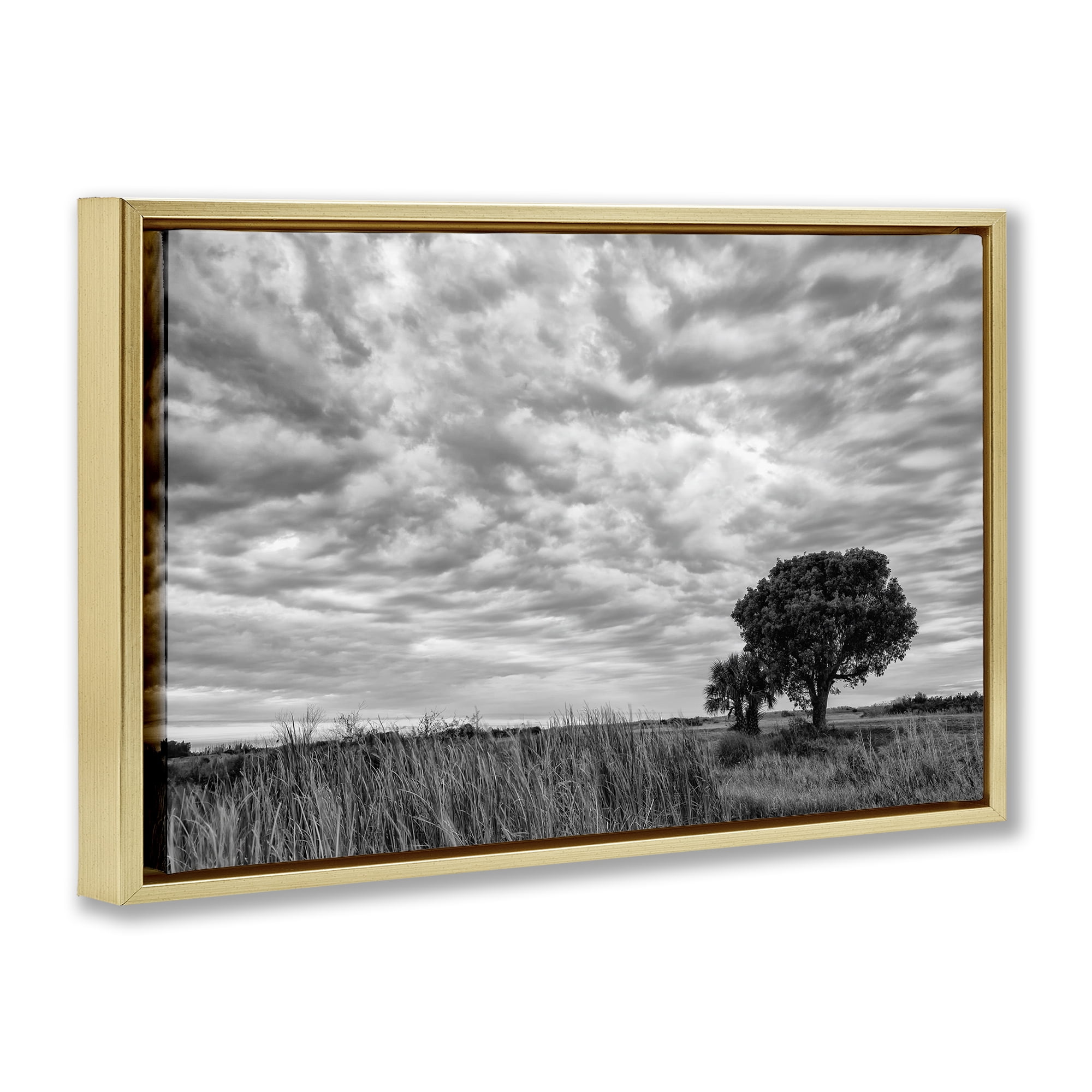 Stupell Industries Solitary Tree Beneath Clouds Gold Framed Floater Canvas Wall Art, design by Jon Evan