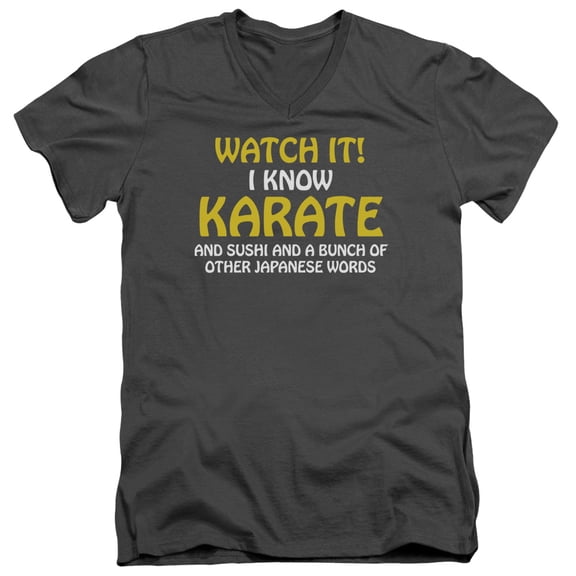 - I Know Karate - Slim Fit V Neck Shirt - Small
