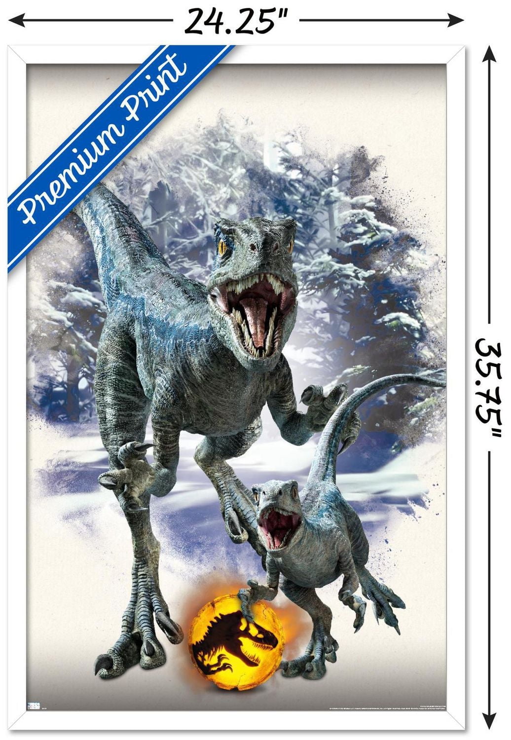 Jurassic World : Dominion - Blue et Beta Focal