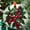 Cranberries 1662, variant on Mountain Range Suncatcher Ornament, Mountain Range Ornament Window Hanging Mountain Range Sun Catchers Indoor Window Decor, 2025, Holiday 2025, Seasonal Holiday Decor, Holiday