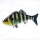 thumbnail image 1 of Señuelo de pesca biónico Cuerpo duro Señuelo de hundimiento Pesca de 3 segmentos, 1 of 8