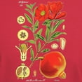 thumbnail image 3 of CafePress - Vintage Pomegranate Dark T Shirt - Men's Classic Graphic Cotton T-Shirt, 3 of 4