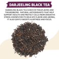 thumbnail image 2 of Té negro suelto Darjeeling BREWIX 100 g, 50 tazas, 2 of 9