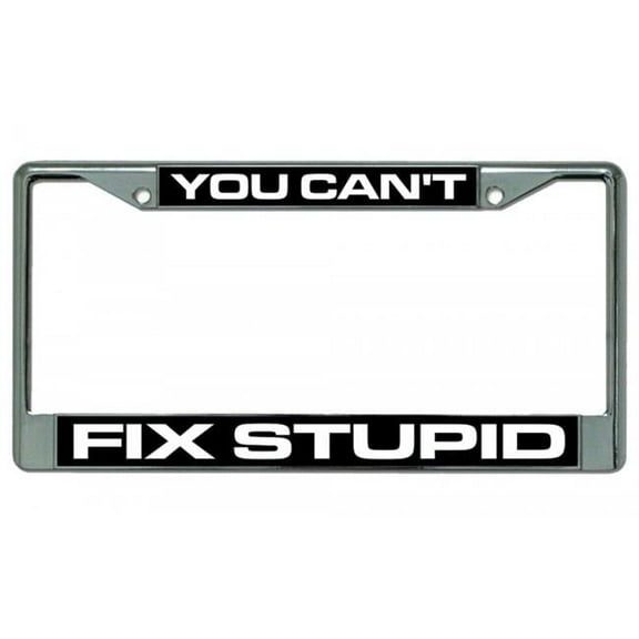 212 Main LPO1925 You Cannot Fix Stupid Photo License Plate Frame, Free Screw Caps