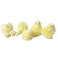 thumbnail image 2 of Cheers US 4Pcs/Set Realistic Plush Little Chick Figurine Lifelike Furry Animal Toy Simulated Chicken Sound Photography Props Chicken Decor 4 Poses, 2 of 7