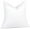 16x16 Inch, variant on Fluffy Feather Down Throw Pillow Inserts 22x22 Inches, Set of 2 White Decorative Pillows for Couch, Bed, Floor, Machine Washable