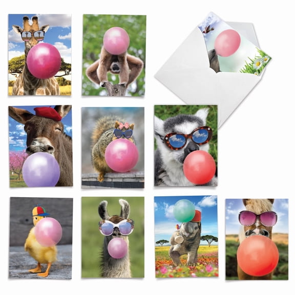 The Best Card Company 10 Assorted Blank Notes Set 4x5.12 w/ Envelopes, 10x1 Designs, for Men, Women, Balloon Animals AM6837OCB-B1x10