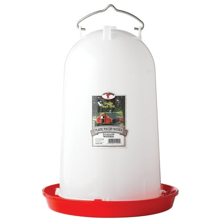 Little Giant 7906 3 Gallon Plastic Poultry Drinker