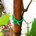thumbnail image 4 of Lazo suave para jardín, lazo torcido recubierto, lazos de goma reutilizables, herramienta de jardín para vegetales ER, 4 of 5