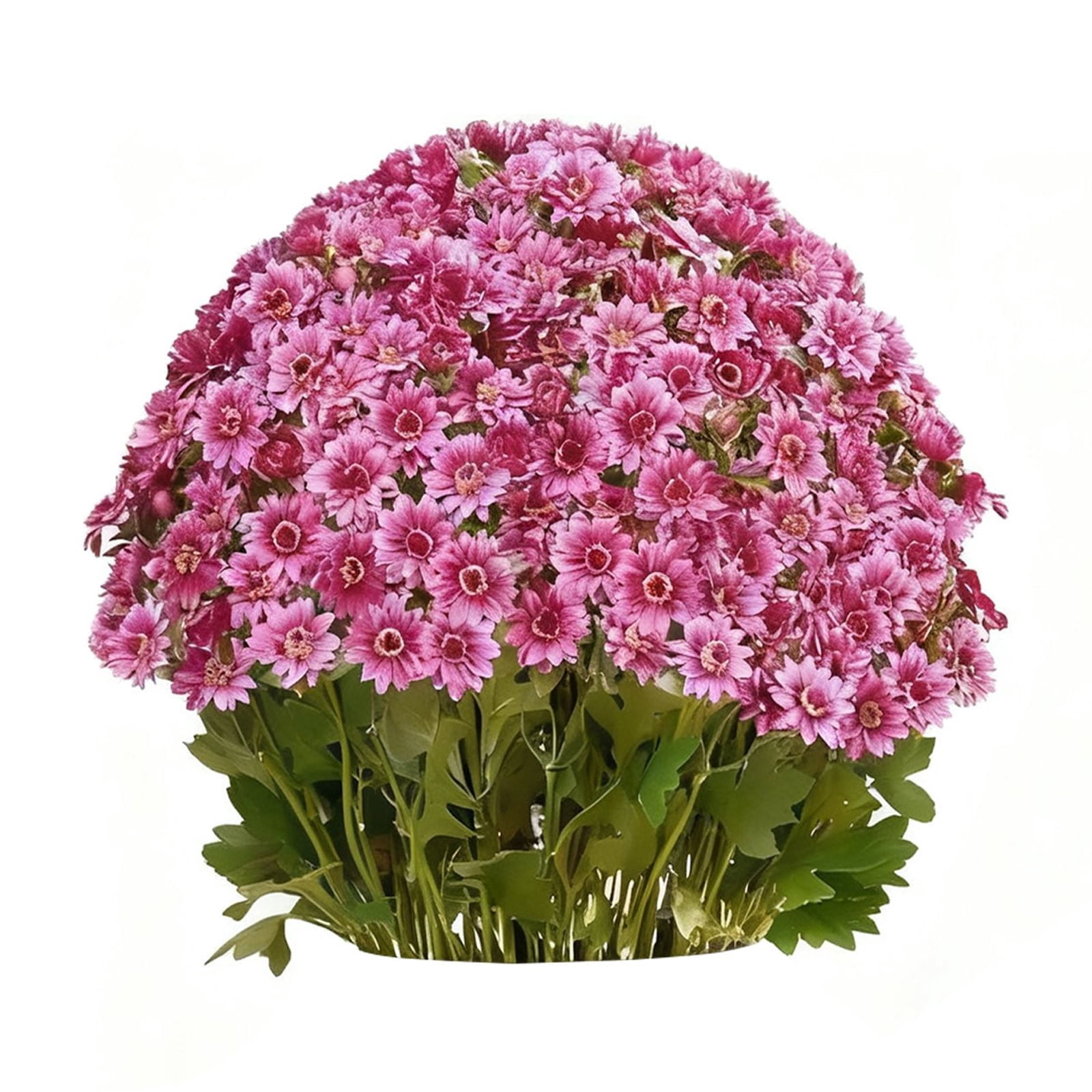 20 Bundles Artificial Mums - Artificial Outdoor Sunset Flowers, UV Resistant, Waterproof, Windproof, Look Real for Front Door Porch Patio Yard Balcony