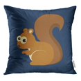 thumbnail image 1 of RYLABLUE Housse de Coussin Marron Dessin Animé de Funny Squirrel sur Tamia Bleu Adorable, 1 of 1