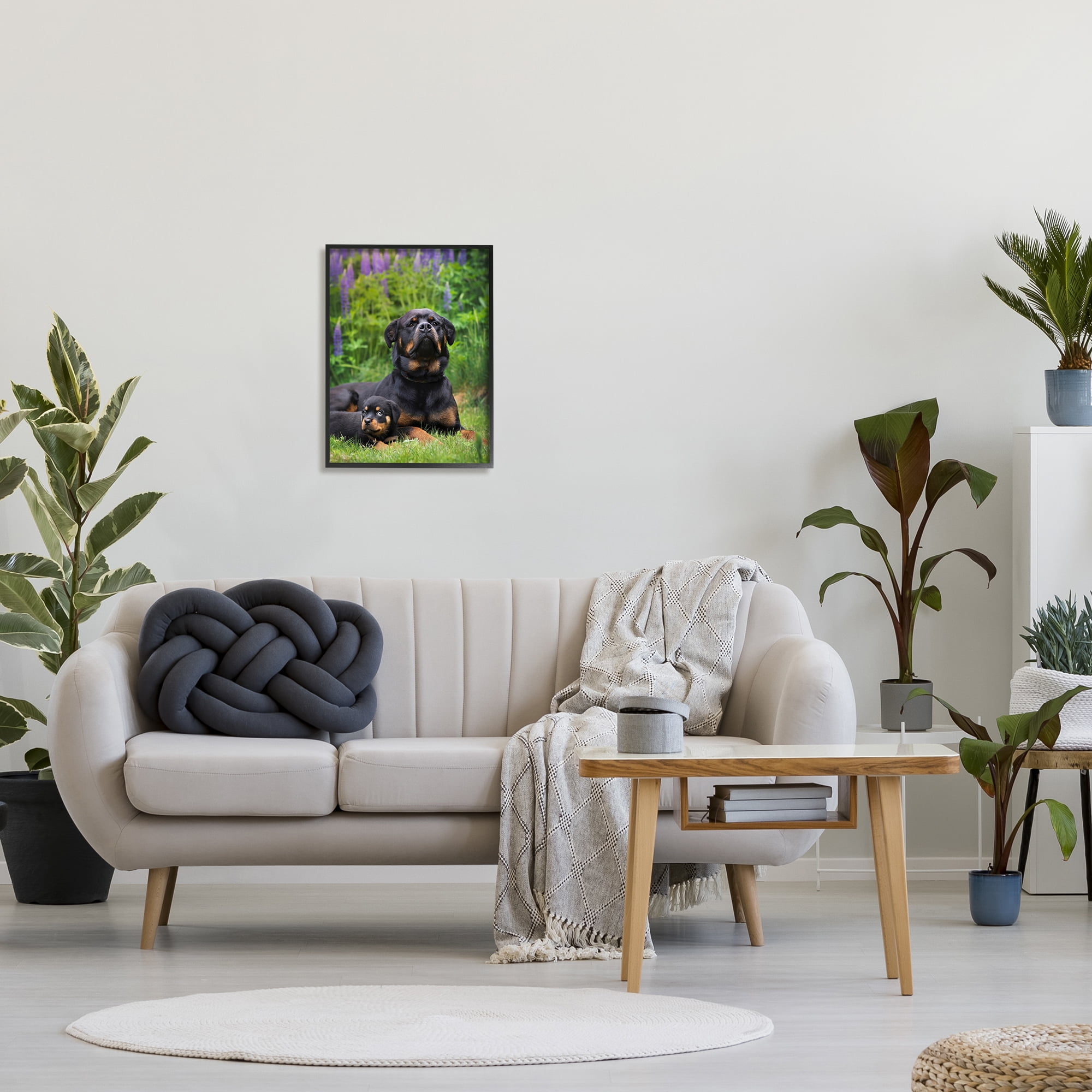 Stupell Industries Rott Puppies in Meadow Animals & Insects Photography Black Framed Art Print Wall Art, 16 x 20