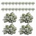 thumbnail image 3 of 24 Uds. de Tallos VegetacióN Oreja Cordero Flocados Artificiales, ImitacióN, DecoracióN ImitacióN Artificial, 3 of 5