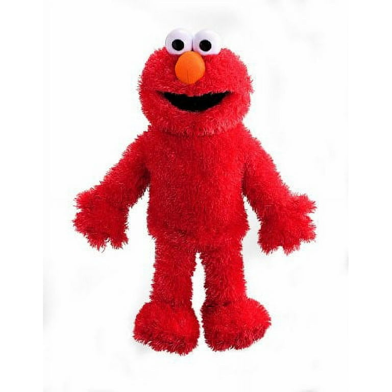 15+ Sesame Street Gifts For Adults