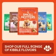 thumbnail image 6 of Small Matters Adult Dog Food for Small Dogs, Salmon & Brown Rice Recipe, 4lb bag, 6 of 8