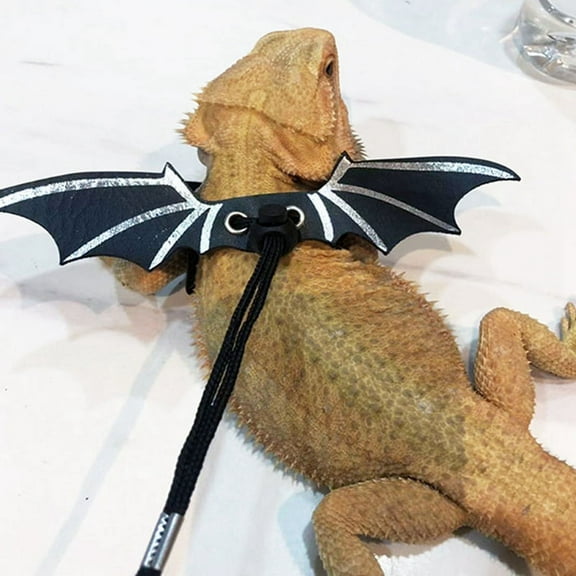 Bearded Dragon Lizard Leash Harness - 3 Size Pack Dinosaur Wing Lizard Harness Leash for Bearded Dragon Lizard Silver