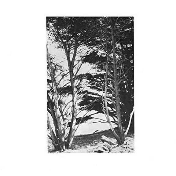 Rick Deitrick - Gentle Wilderness - Folk Music - Vinyl
