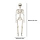 thumbnail image 5 of Esqueleto Espeluznante Y Aterrador Halloween Recuerdos Fiesta Realistas, 5 of 9