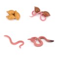 thumbnail image 1 of Bewildely 1 Juego de modelo de gusano de pala, Material plástico Premium, figuritas de insectos significativas, modelos de crecimiento educativo temprano Juguetes Educativos terrajado NO23 Bewildely FN010083-23, 1 of 1