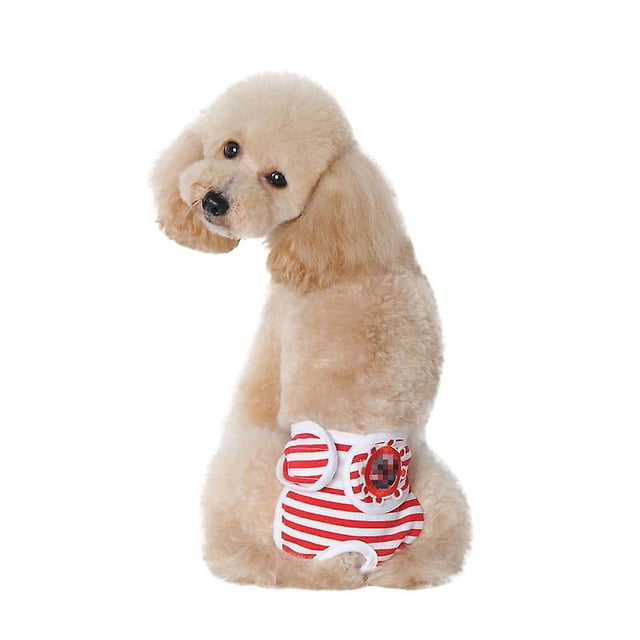 1 pantalón de seguridad para mascotas.