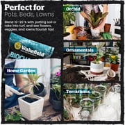 Biochar Premium Soil Conditioner - Wakefield BioChar - 4 qt