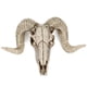 thumbnail image 5 of 2x Cráneo Cabeza de Oveja Escultura de Pared Cabeza de Animal Colgante de, 5 of 9