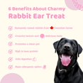 thumbnail image 4 of pack of 3 - Charmy Air-Dried Rabbit Ear Dog Treats, 35-g bag, 4 of 5