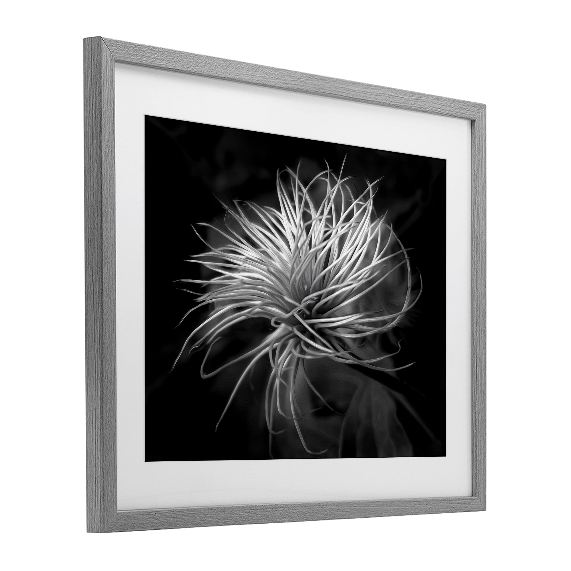 Twisting Botanical Leaves Contrast Gray Framed Print Under Glass, design by Phillip Flowers