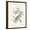 Brown Frame, variant on Art.com Oak Tree Study Stretched Canvas Print Wall Art, 18" x 24"