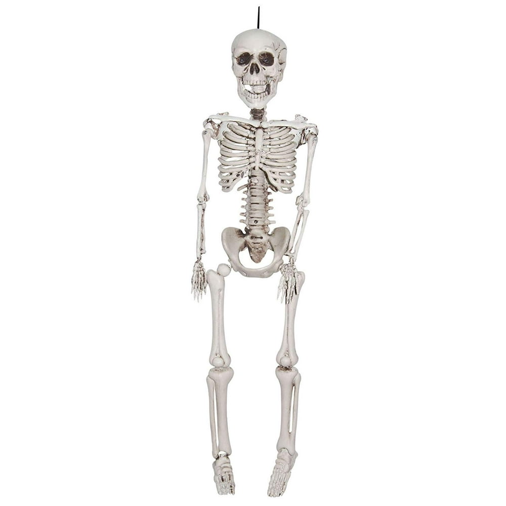 20 Inch Plastic Realistic Skeleton ST