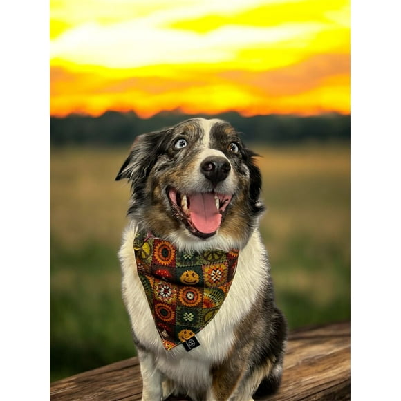 PAÑUELO PARA PERRO TALLA M CON COLLAR DOBLE VISTA CROKET - MOÑOS