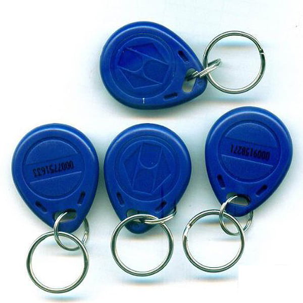 Security Door EM4100 125KHz RFID Card Tag Programmable Numbered Key Fob Chain 