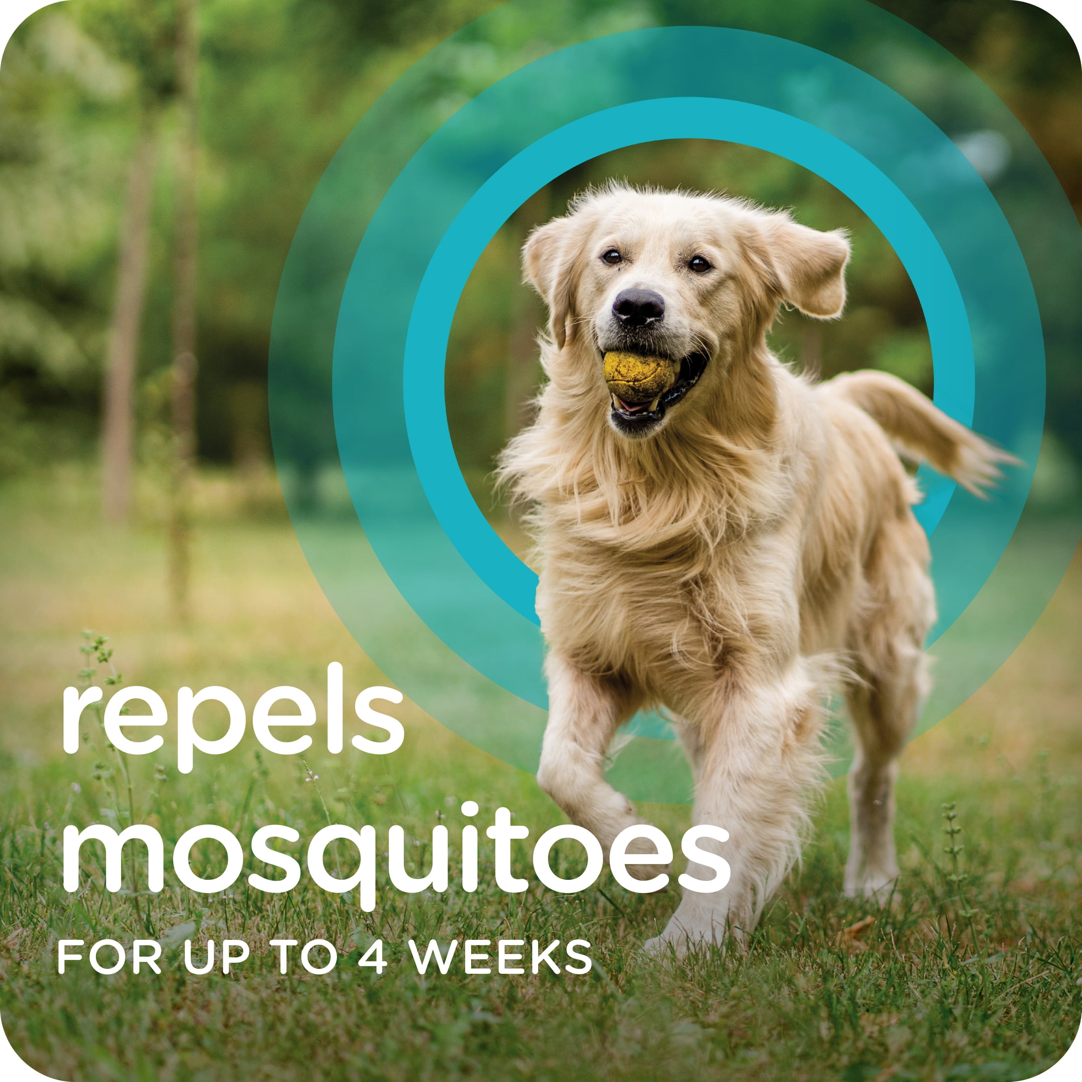 SERGEANT'S GUARDIAN Flea & Tick Topical for Dogs, 66 lbs and over, kills fleas and ticks, plus repels mosquitoes for up to four weeks.